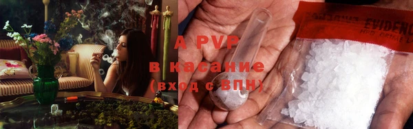 a pvp Аркадак