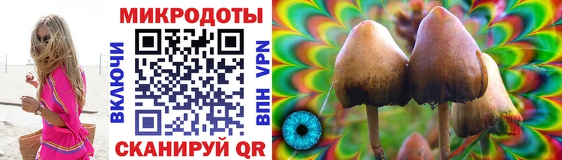 Галлюциногенные грибы MAGIC MUSHROOMS  Подпорожье 